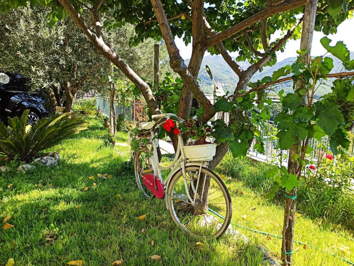 La Roccia Incantata Amalfi Coast Виетри Экстерьер фото