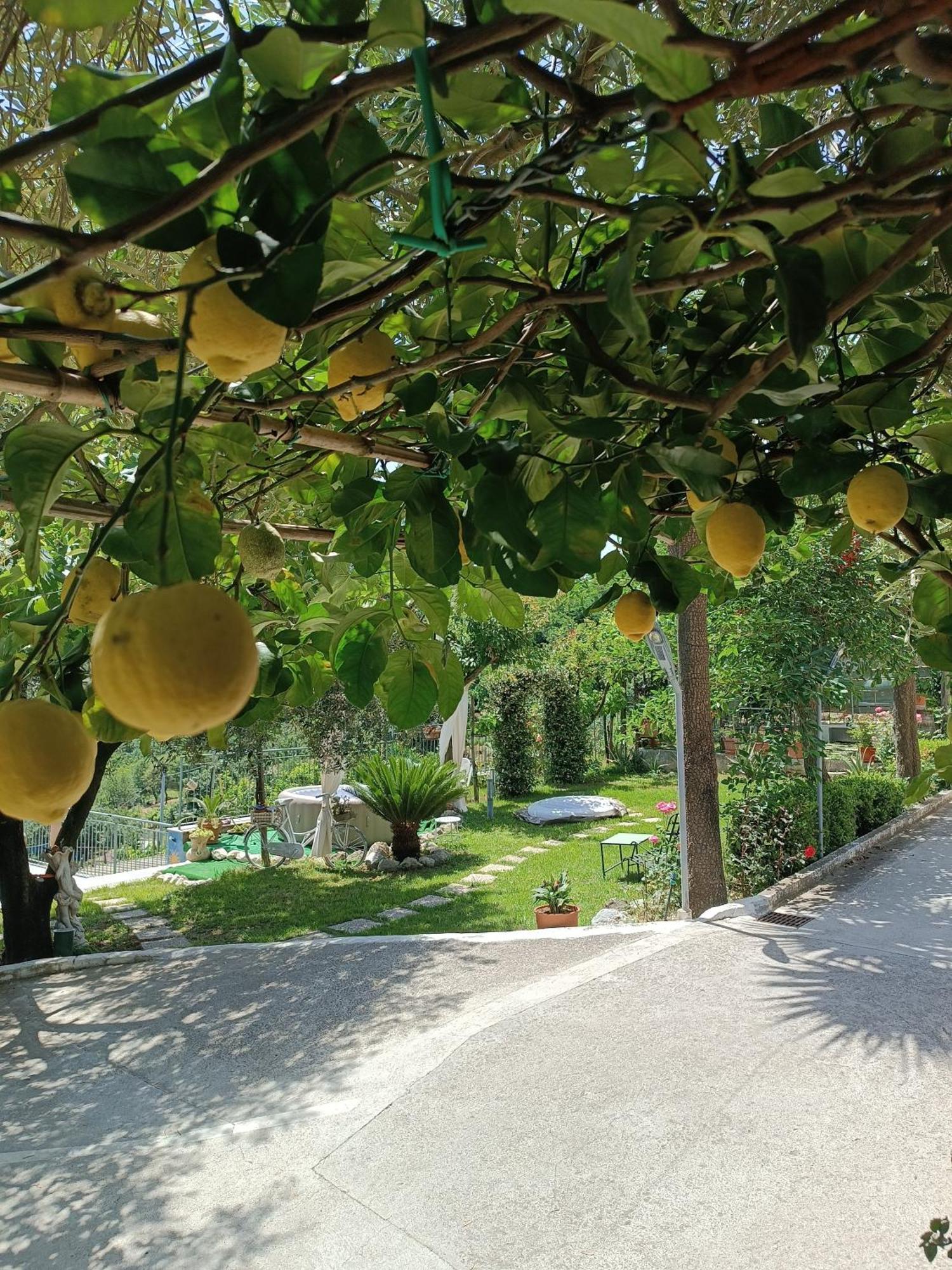 La Roccia Incantata Amalfi Coast Виетри Экстерьер фото